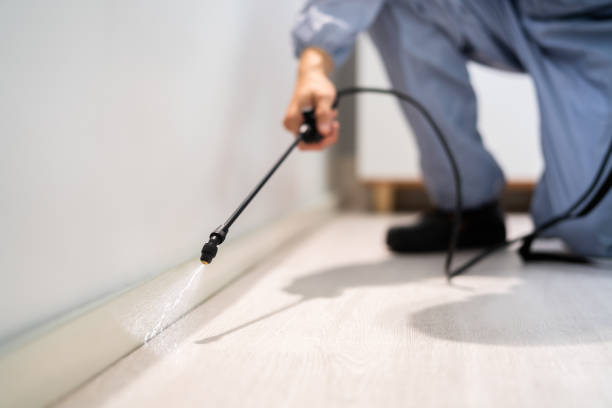 Licensed Fumigation Services service in Canyon Creek, WA - Nex Pest Control